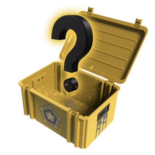 Mystery Weapons Case